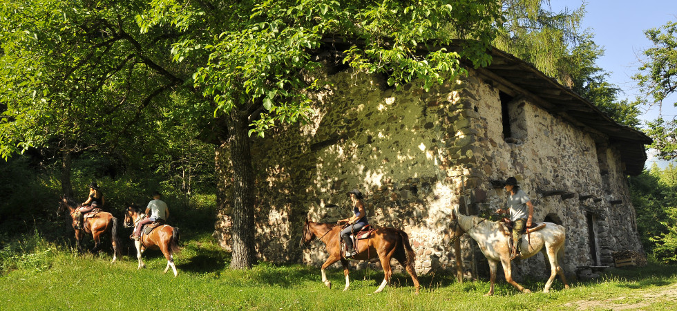 Da "Bee adventures" al Forest bathing, ritorna "La settimana ideale" sull'Altopiano di Pinè tra natura